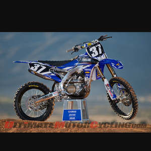 Meet your Posher, Dante